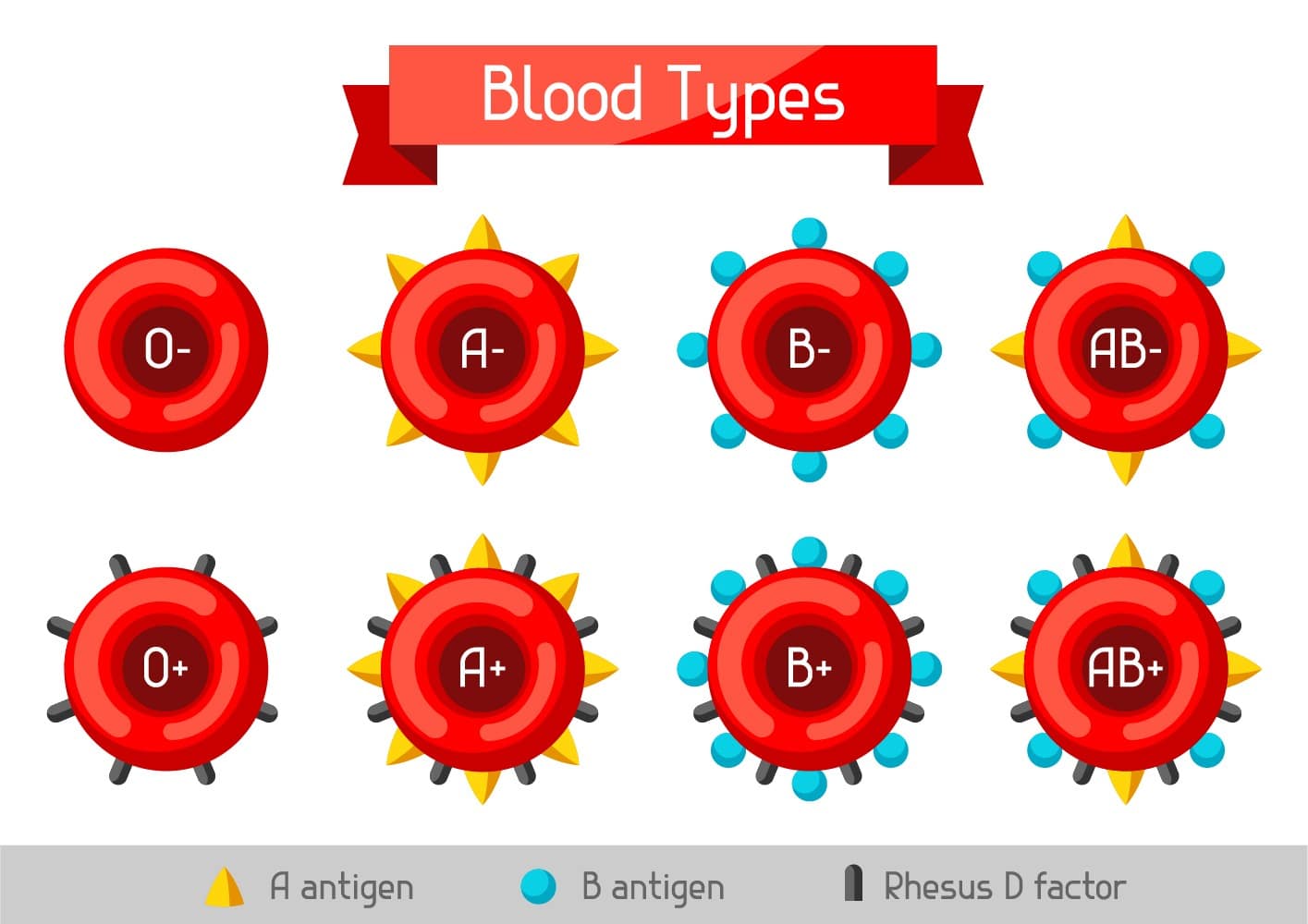 What Are the Insect Blood Colors and Types? (+ Vital Facts)