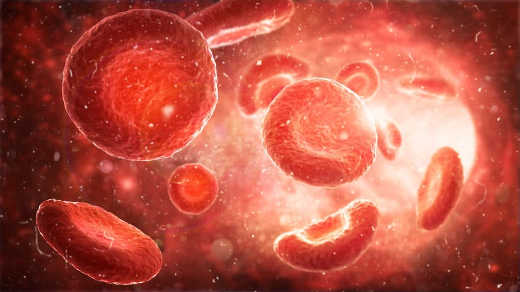 Red blood cells in an artery, flow inside body.
