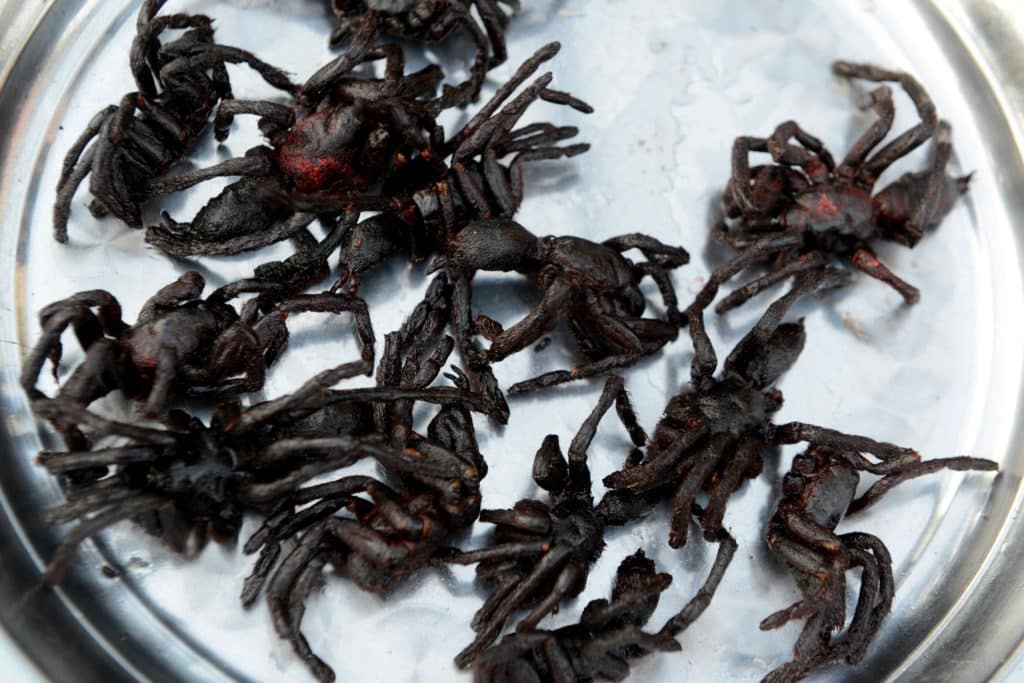 Fried spiders in Cambodia Siem Reap market.