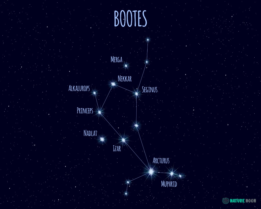 Bootes star constellation.