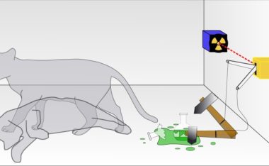 Schrödinger’s Cat Experiment For Dummies.