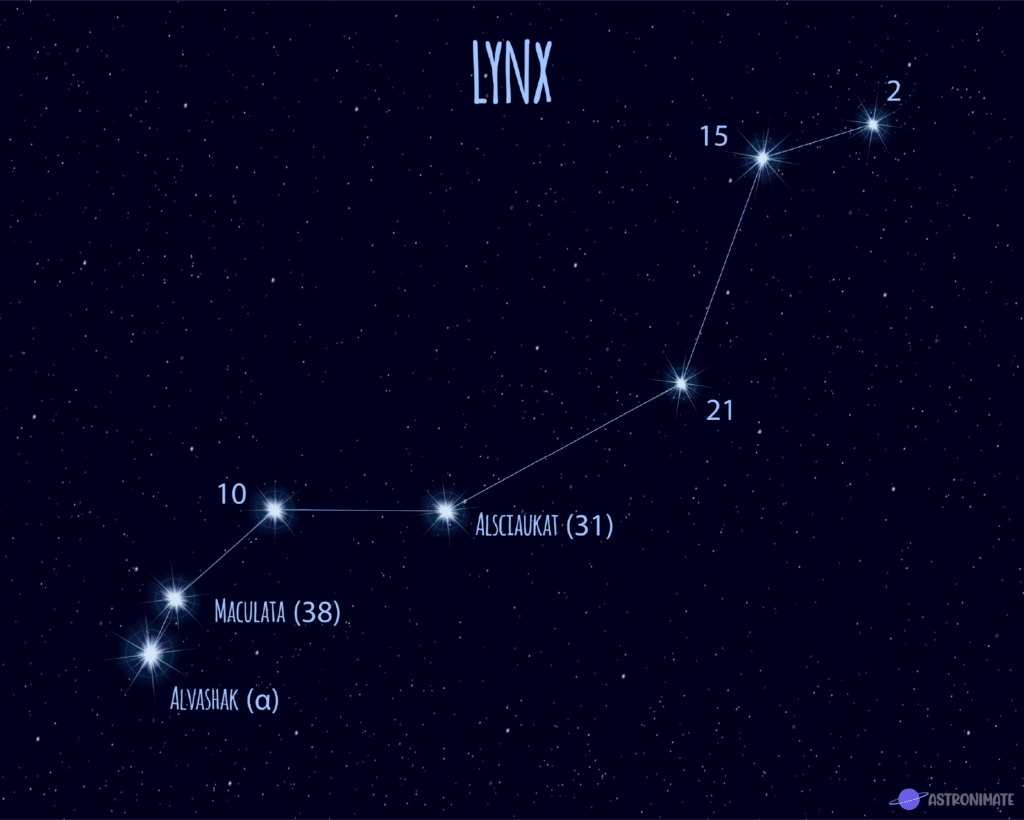 Созвездие Рысь на карте звездного. Созвездие Рысь звезды название. Созвездие Рысь схема. Рысь Созвездие яркая звезда. Звезда рыси