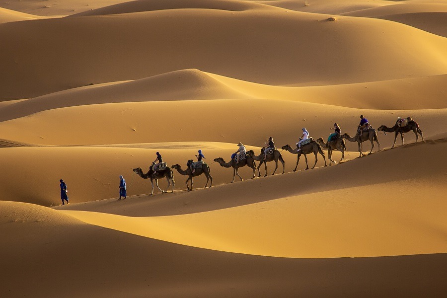 A long camel train caravan in the desert.