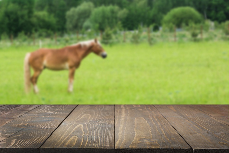 Wooden tabletop and blurred background with horse on green field. 