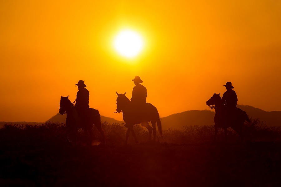Silhouette of cowboys riding horses at sunset.