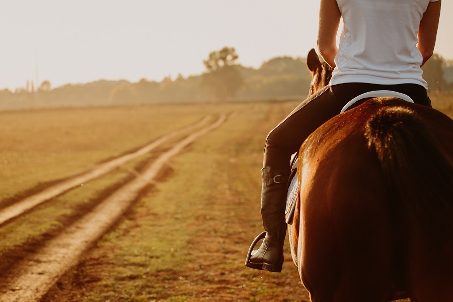 Young woman horseriding in sunset on the fields.