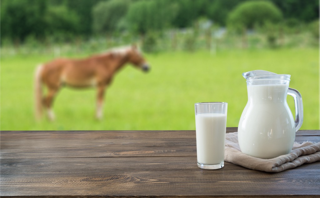 Why Don't Humans Milk Horses? (+ Interesting Facts)