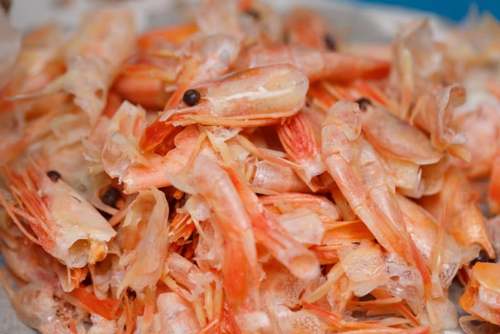 Food scraps from shells peeled from shrimp.