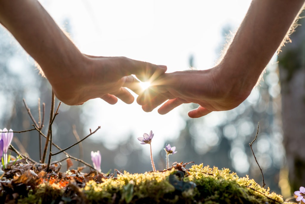 Hand covering flowers at the garden with sunlight.