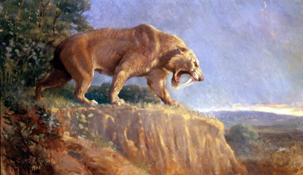 Painting of a smilodon populator from the american museum.
