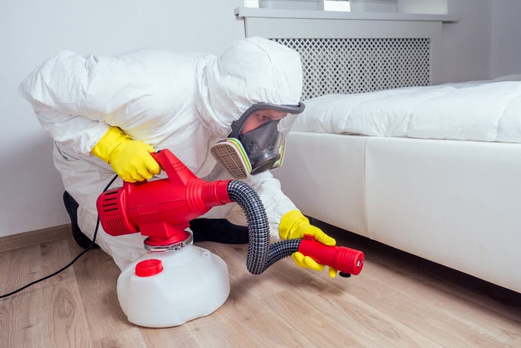 Pest control worker lying on floor and spraying pesticides in bedroom.