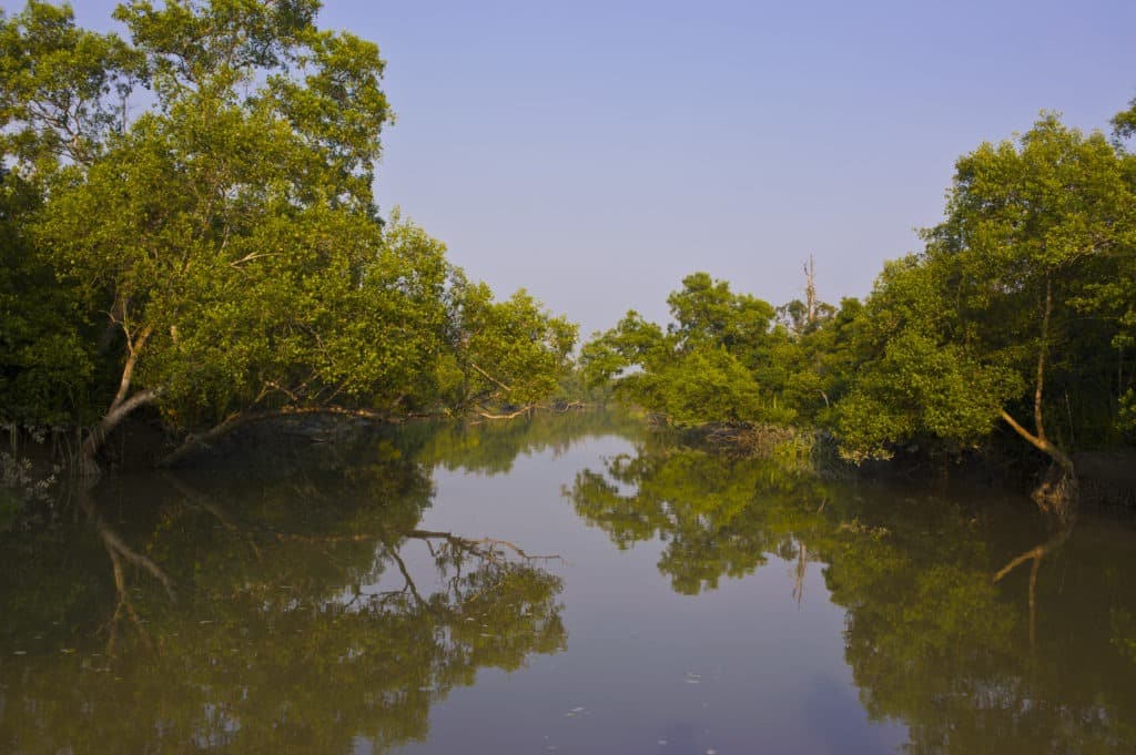 Unesco world heritage site, the Sundarbans in Asia.